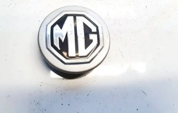 MG HS Original wheel cap 10071402