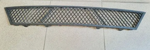 BMW 5 GT F07 Front bumper lower grill 51117200729