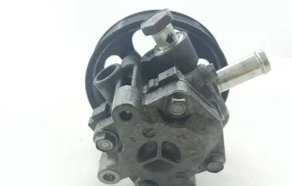 Peugeot 4007 Power steering pump 9Z231561