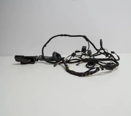 Front door wiring loom