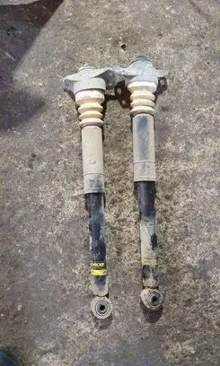 Rear shock absorber/damper
