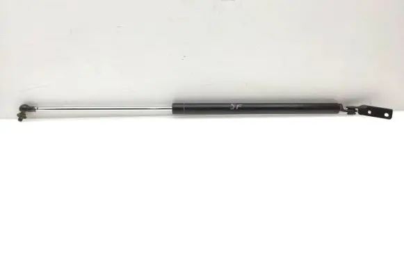 Tailgate strut