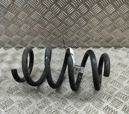 Tesla Model Y Rear coil spring 118847200B