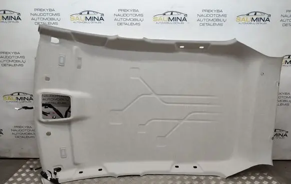 Renault Zoe Headlining 739109239R