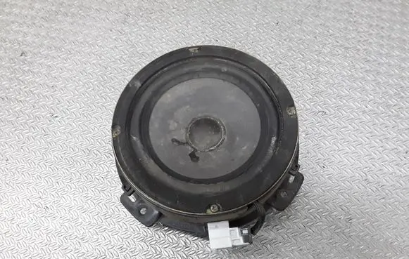 Rear door speaker