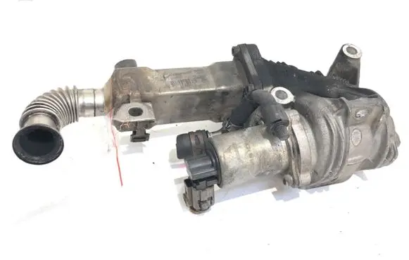 EGR valve