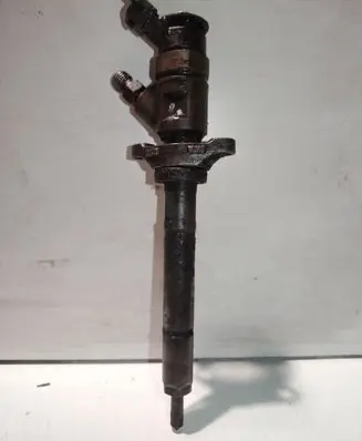 Citroen C5 Fuel injector 0445110297