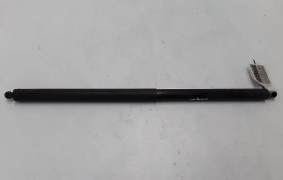 Tailgate strut