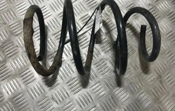 Front coil spring