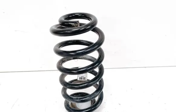 Rear coil spring