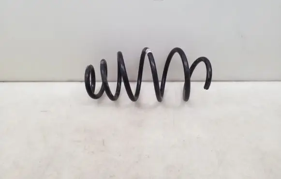 Front coil spring