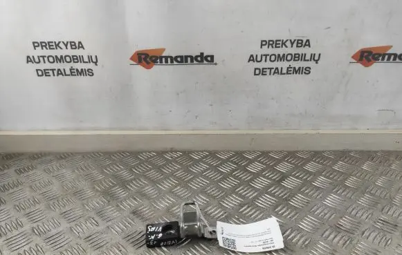 Iveco Daily 5th gen Loading door lock loop/hook striker 