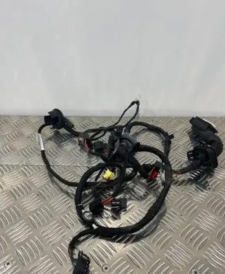 Audi A7 S7 4G Front door wiring loom 4G5971029DD TAB010403AD