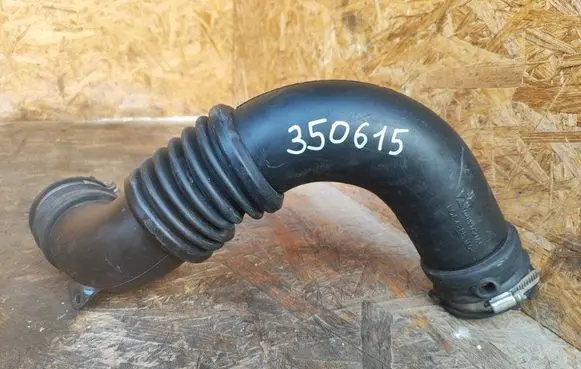Jeep Patriot Air intake hose/pipe 4891621AC