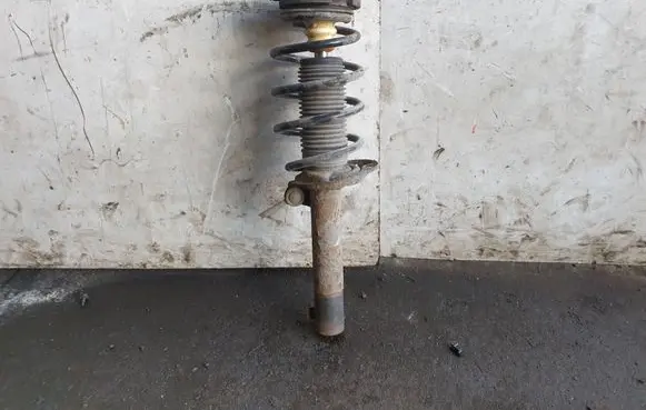 Volkswagen Jetta V Front shock absorber with coil spring 1K0413031C
