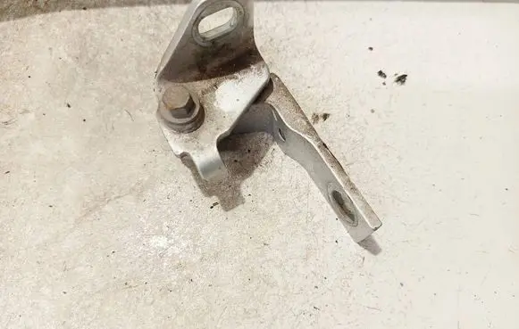 Ford Focus Rear door lower hinge