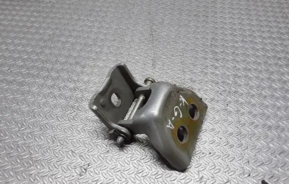 Citroen C4 I Rear door lower hinge