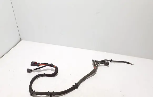 Porsche Panamera (971) Other wiring loom 972971111B