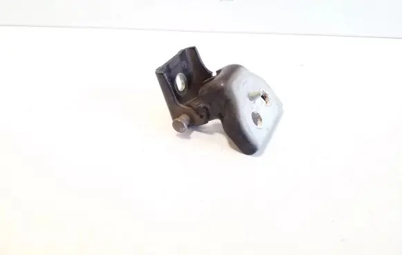 Front door lower hinge