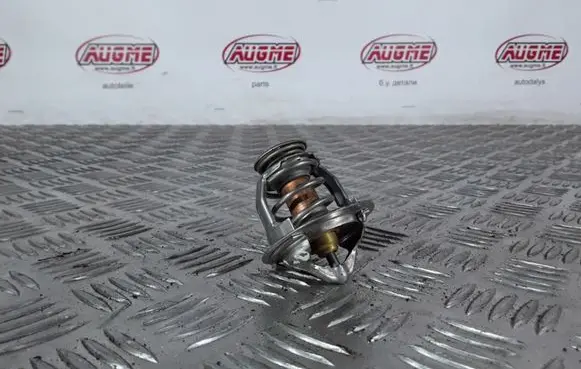 Thermostat/thermostat housing