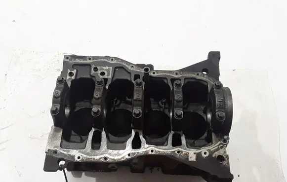 Renault Kangoo II Engine block 110103693R