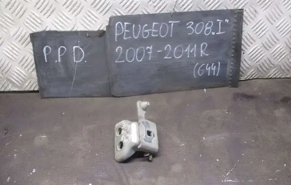 Peugeot 308 Front door lower hinge 