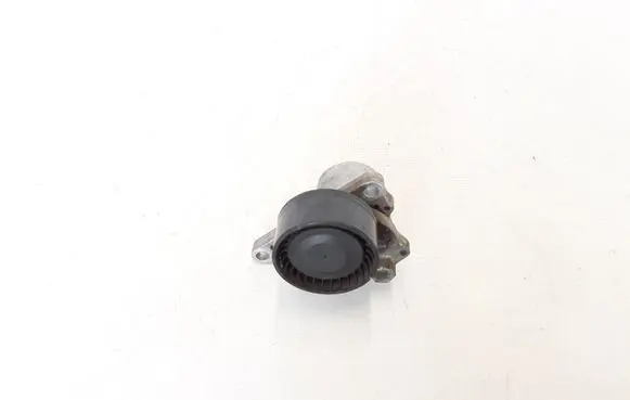 Renault Megane III Alternator belt tensioner 