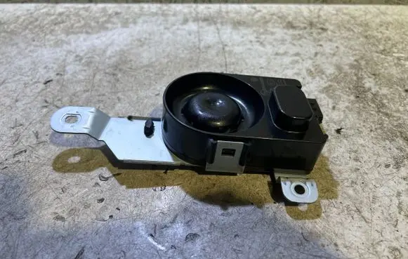 Alarm system siren