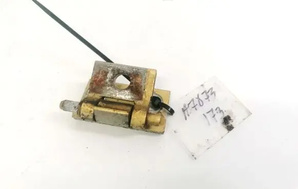 Volvo S60 Rear door lower hinge