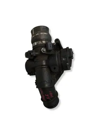 Citroen Berlingo Throttle valve 9660030580 25365286