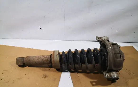 Volkswagen Touareg I Rear shock absorber with coil spring 7L6512021AA