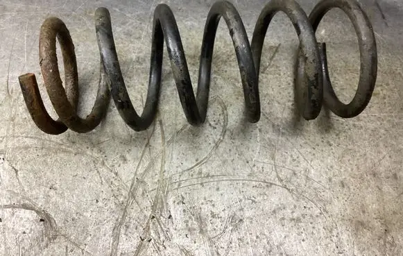 Rear coil spring