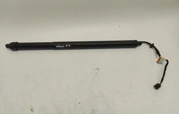 Tailgate strut