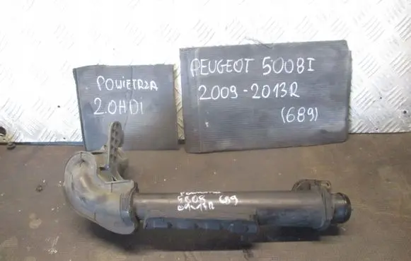 Peugeot 5008 Intake resonator 
