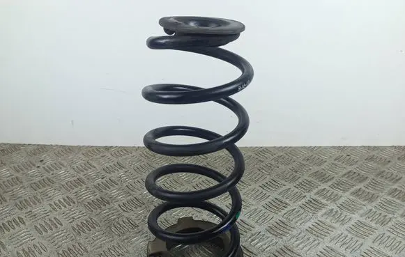 Rear coil spring