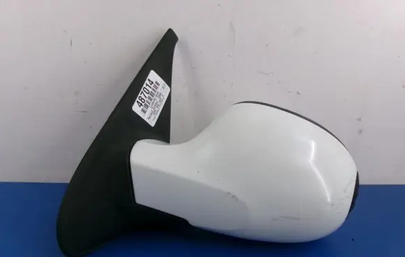 Renault Symbol II Front door electric wing mirror 8200780865
