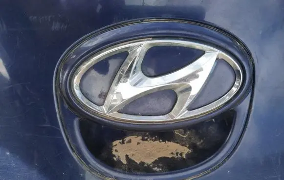 Tailgate/trunk/boot exterior handle