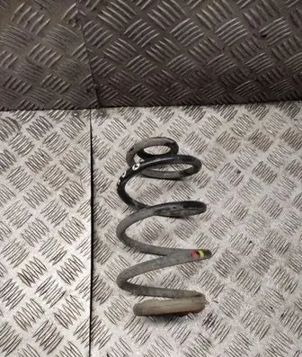 Rear coil spring