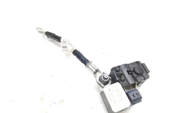 Renault Kangoo III Negative earth cable (battery) 250820499R