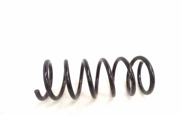 Rear coil spring