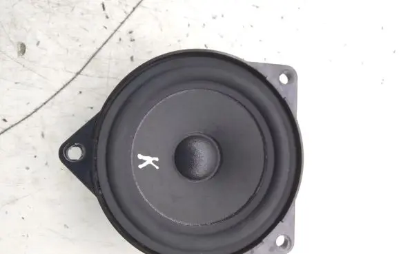 BMW 5 F10 F11 Panel speaker 916969103