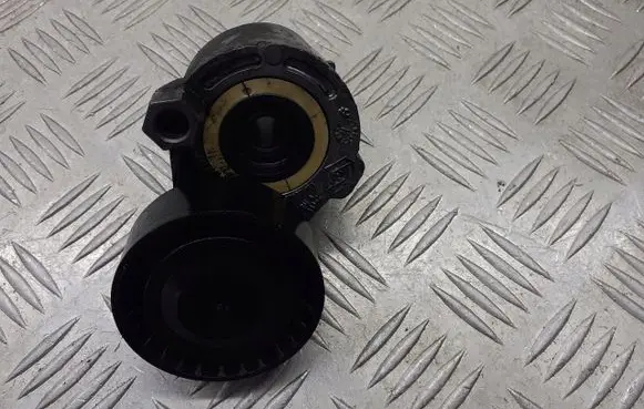 Renault Modus Alternator belt tensioner pulley 8200371058