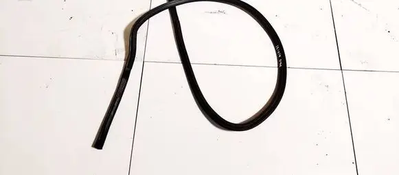 Skoda Superb B5 (3U) Rubber seal front coupe door 