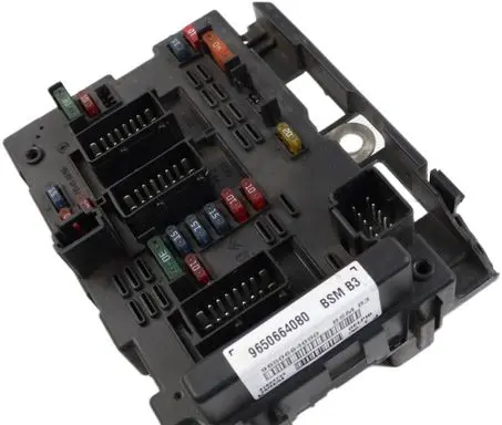 Peugeot 307 Fuse module 9650664080