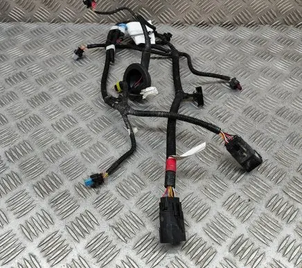 Tesla Model Y Other wiring loom 248905004C