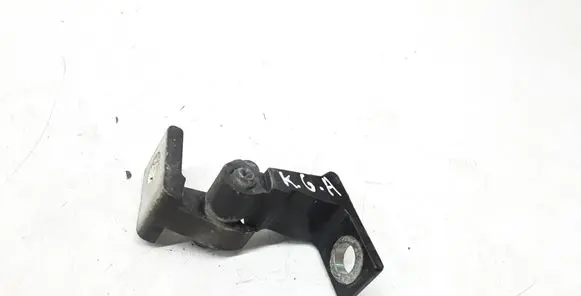 Seat Ibiza IV (6J,6P) Rear door lower hinge