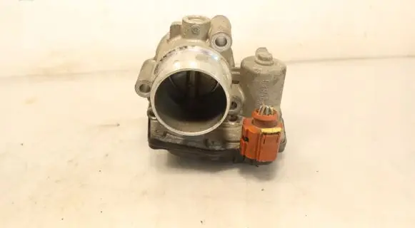 Throttle body valve