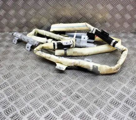 KIA Carnival Roof airbag 850104D500