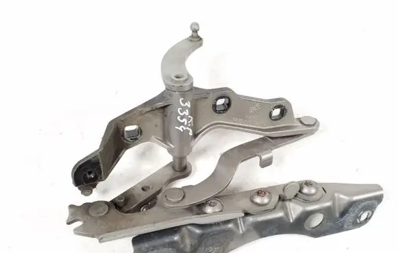 Mercedes-Benz CL C216 Engine bonnet/hood hinges A2218800328