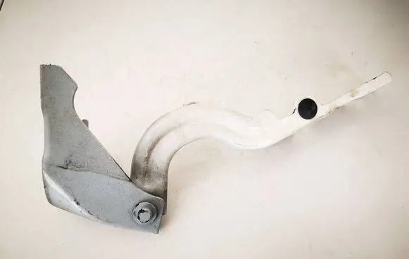 Fiat Tipo Engine bonnet/hood hinges 
